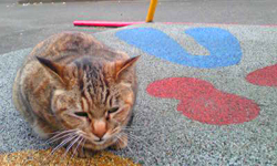 f0204069_116315.jpg