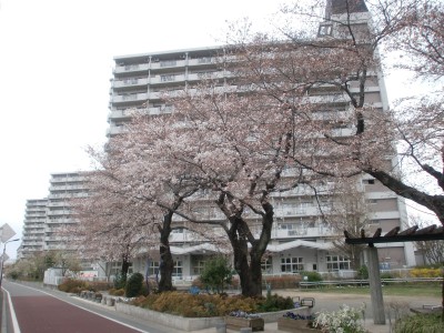 c0112172_115353.jpg