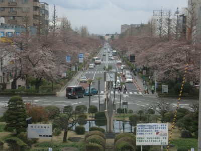 c0112172_116251.jpg