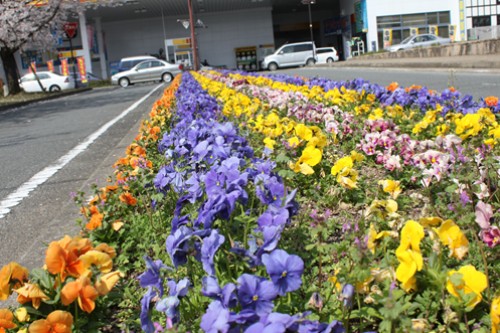 f0003174_1312179.jpg