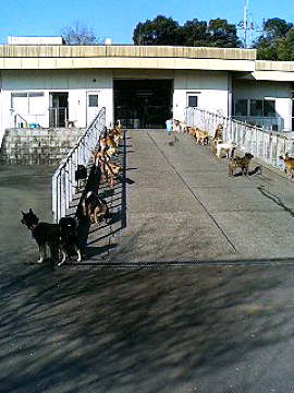 f0054677_911413.jpg