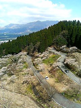 f0054677_91348.jpg
