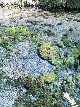 f0054677_9155341.jpg