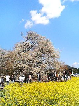 f0054677_9172953.jpg