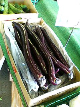 f0054677_918362.jpg