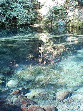 f0054677_918647.jpg