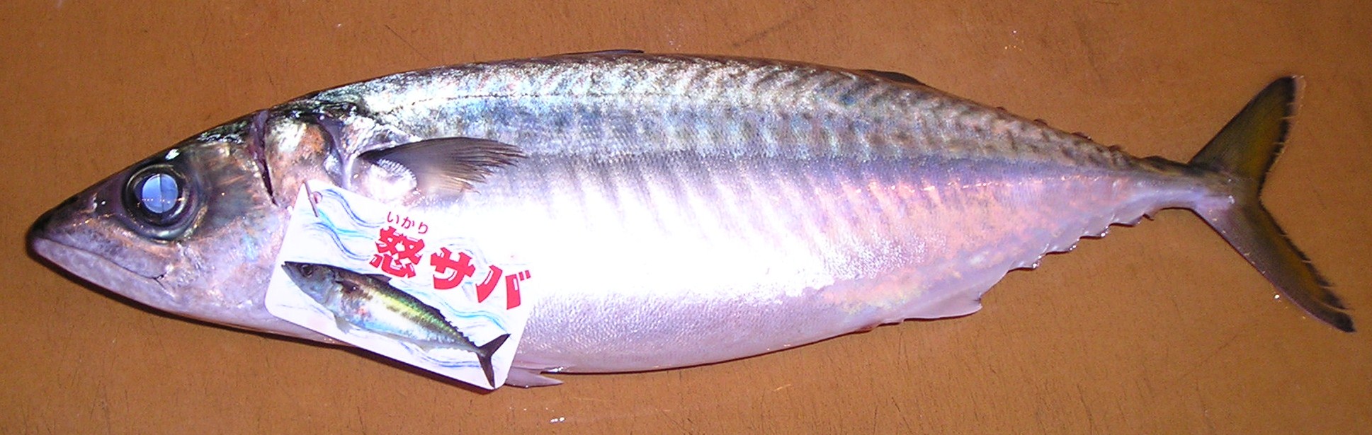 b0076778_23131198.jpg
