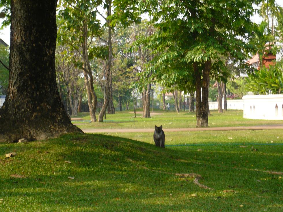 f0178278_12435840.jpg