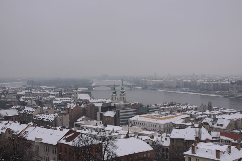 c0148781_2049854.jpg