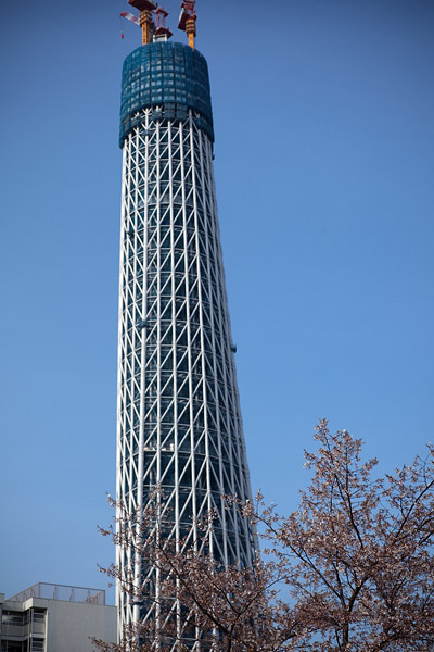 d0089281_21571236.jpg