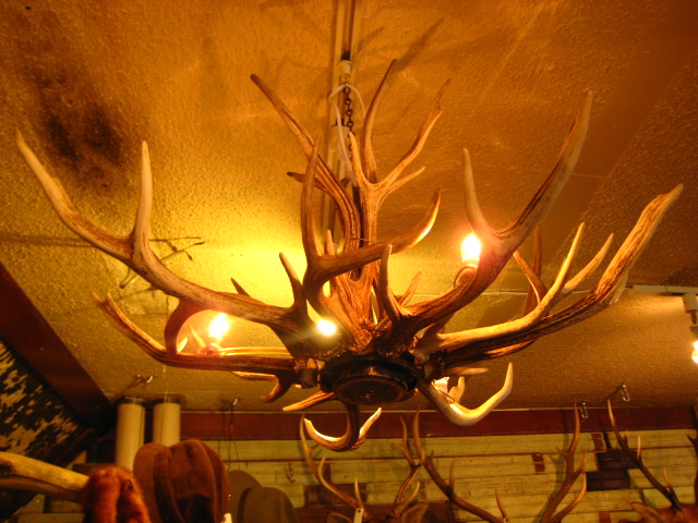 c0226387_15415859.jpg