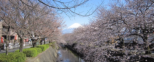 c0160488_19283761.jpg