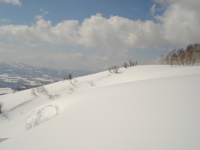 a0115090_23361934.jpg