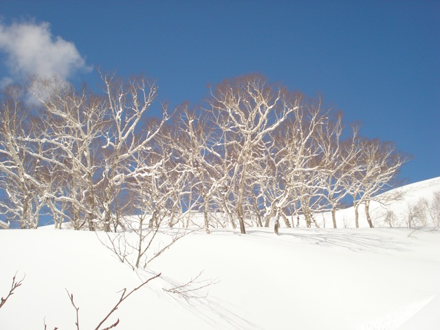 a0115090_23364522.jpg