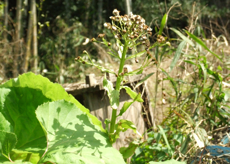 f0132391_1474983.jpg