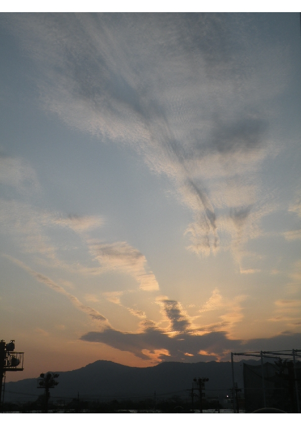 a0064392_11254780.jpg