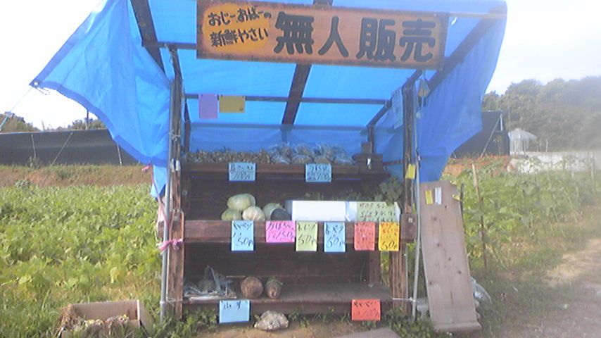 b0017892_9473838.jpg