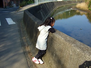 f0176194_21594622.jpg