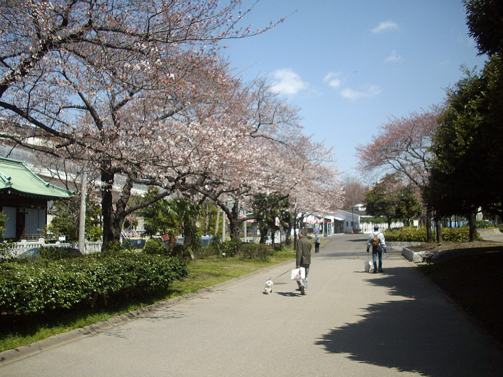 c0138198_13565511.jpg