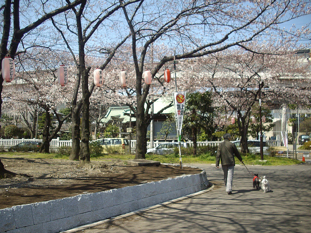 c0138198_13575556.jpg