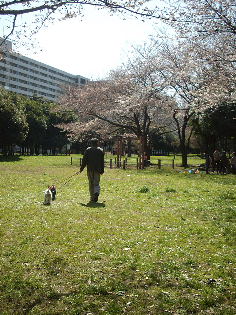 c0138198_1443859.jpg