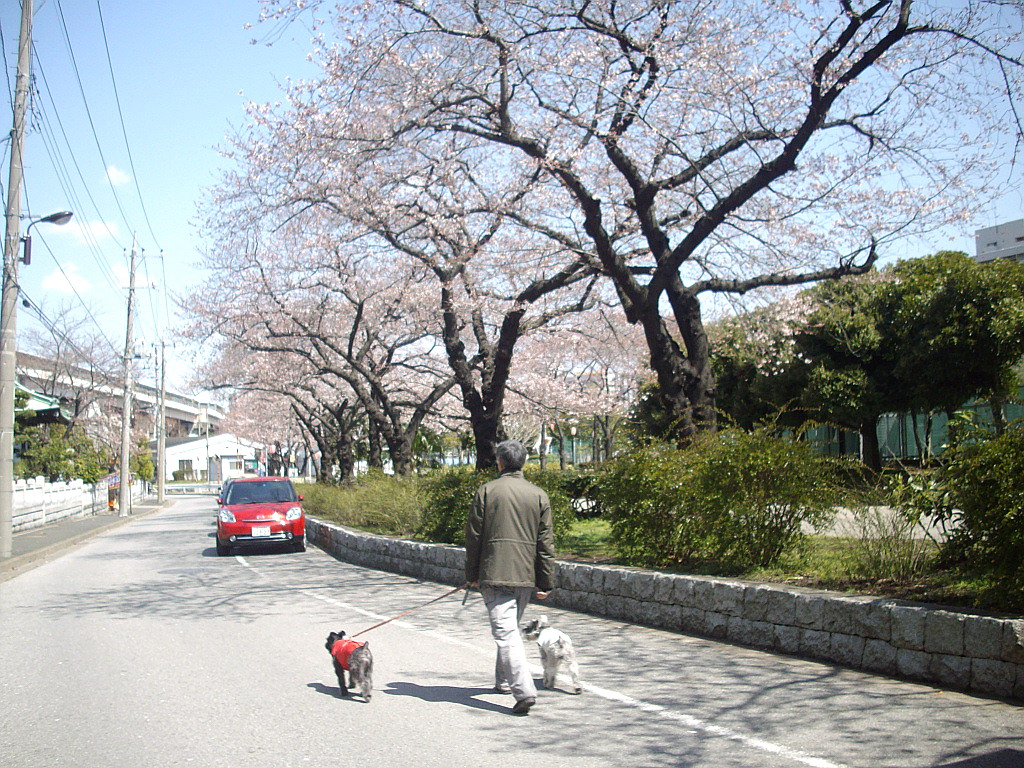 c0138198_146820.jpg