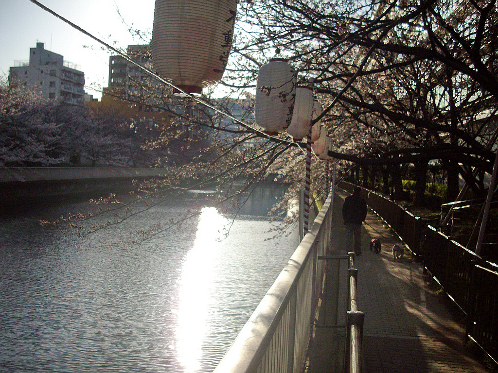 c0138198_16335397.jpg