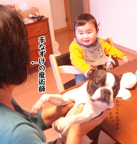 c0094999_524332.jpg