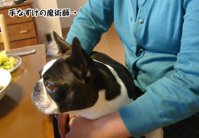 c0094999_54749100.jpg