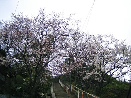 f0175403_175763.jpg