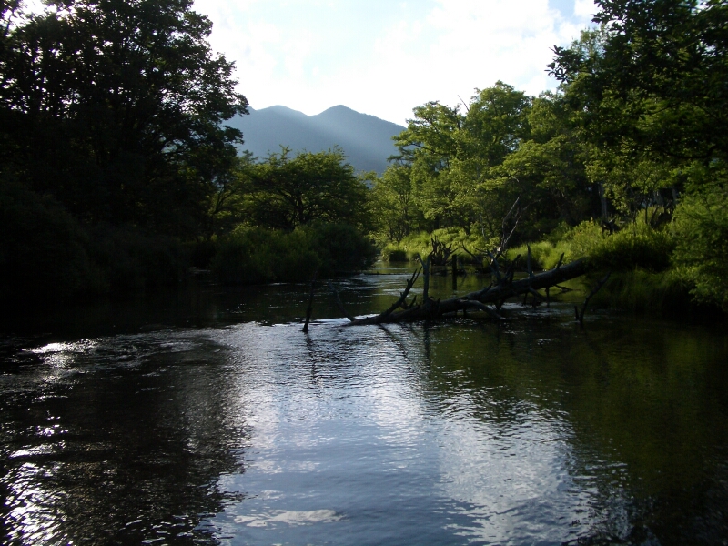b0172805_4101099.jpg