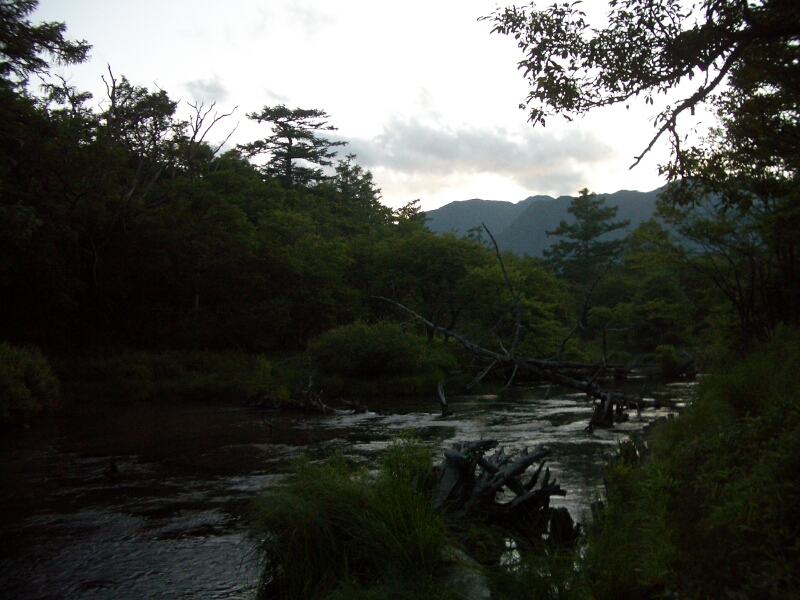 b0172805_4105493.jpg