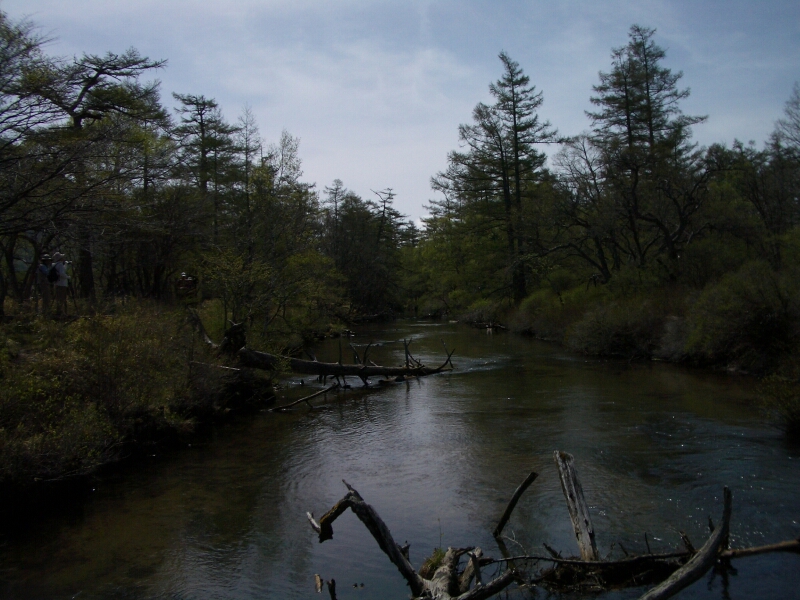 b0172805_49162.jpg