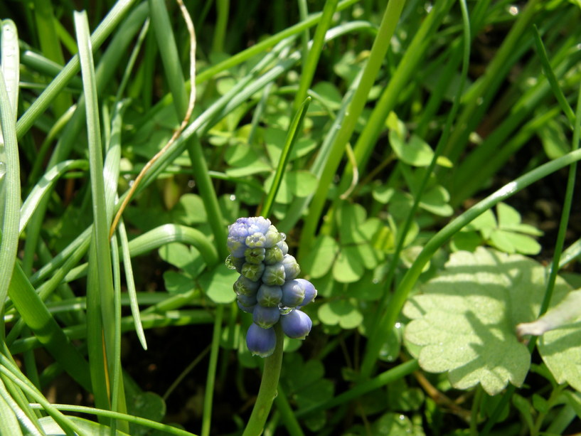 b0061107_05436.jpg