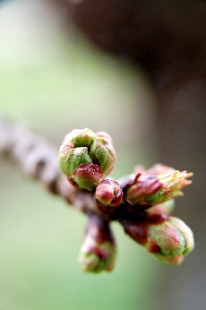 a0113208_23481921.jpg