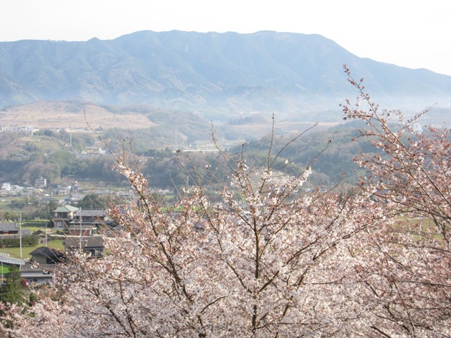 d0081210_15163974.jpg