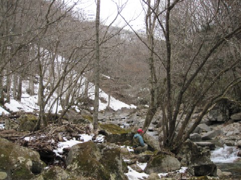 d0083316_12233525.jpg