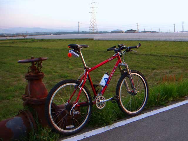 b0146418_22142754.jpg