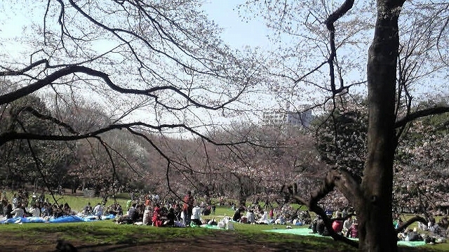 e0170519_22224189.jpg