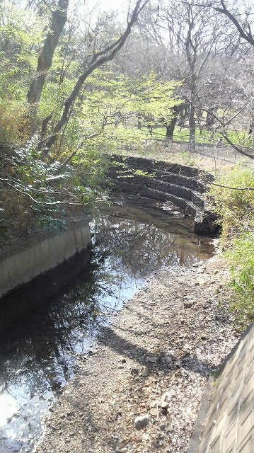 e0170519_22234146.jpg