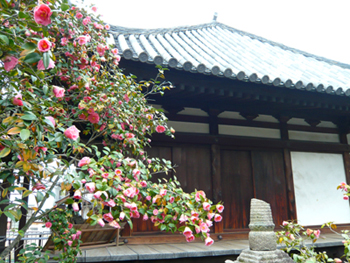 b0019820_15584088.jpg