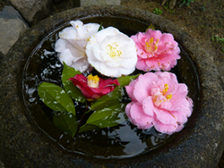 b0019820_1622425.jpg