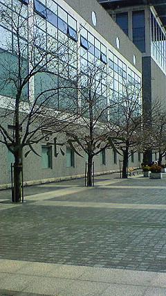 c0097620_2382220.jpg