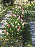 f0139520_18102681.jpg