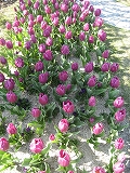 f0139520_18104100.jpg