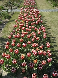 f0139520_1893426.jpg