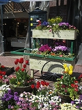 f0139520_21501358.jpg