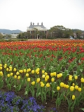 f0139520_21504629.jpg