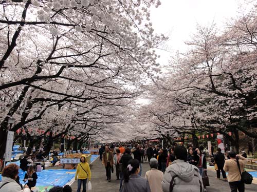 f0147025_2015328.jpg