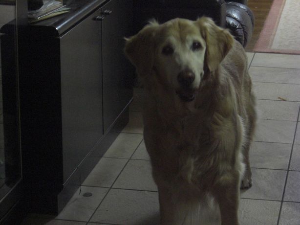 e0142430_2255781.jpg